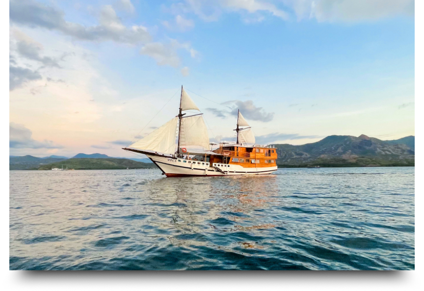 open trip komodo tour