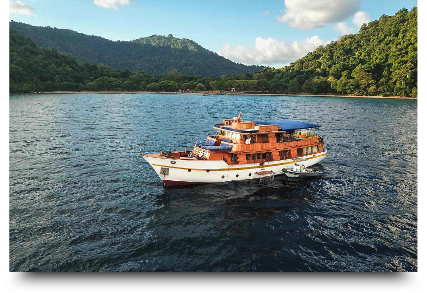 private trip labuan bajo honeymoon