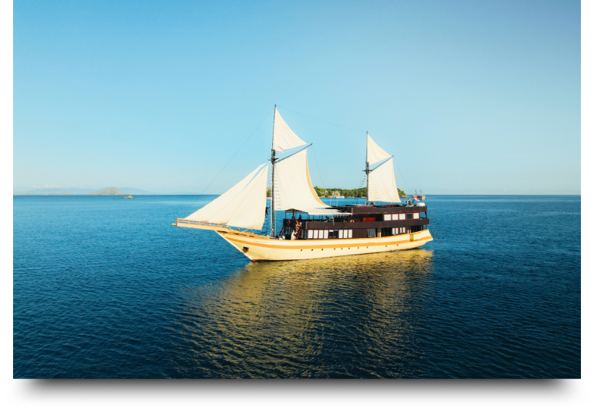 open trip komodo