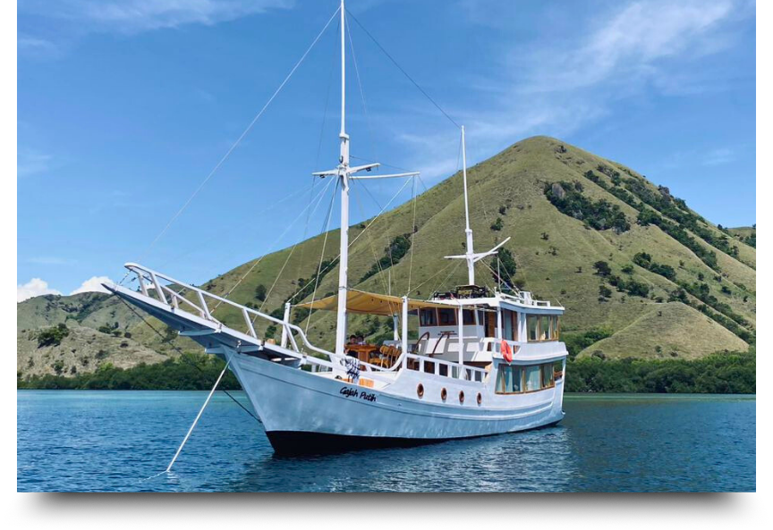 trip pulau padar